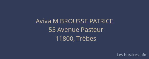 Aviva M BROUSSE PATRICE