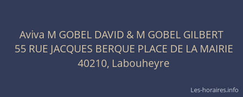 Aviva M GOBEL DAVID & M GOBEL GILBERT