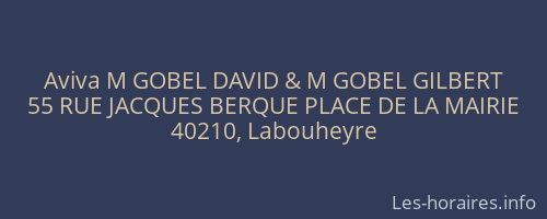 Aviva M GOBEL DAVID & M GOBEL GILBERT