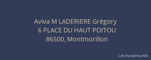 Aviva M LADERIERE Gr&eacute;gory