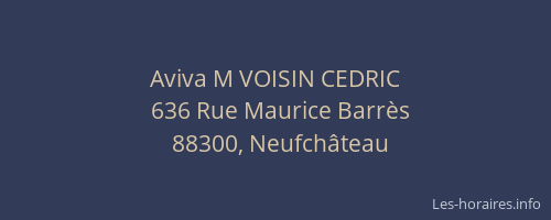 Aviva M VOISIN CEDRIC