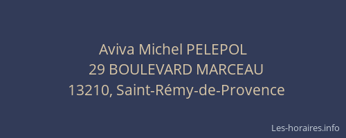 Aviva Michel PELEPOL