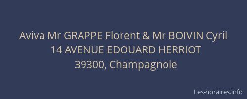 Aviva Mr GRAPPE Florent & Mr BOIVIN Cyril