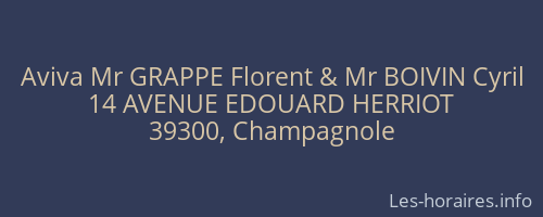 Aviva Mr GRAPPE Florent & Mr BOIVIN Cyril
