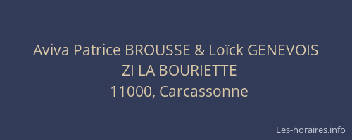 Aviva Patrice BROUSSE & Loïck GENEVOIS