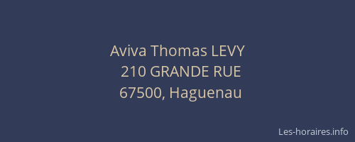 Aviva Thomas LEVY