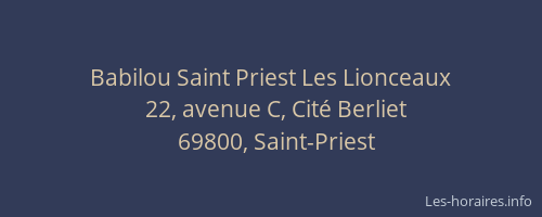 Babilou Saint Priest Les Lionceaux