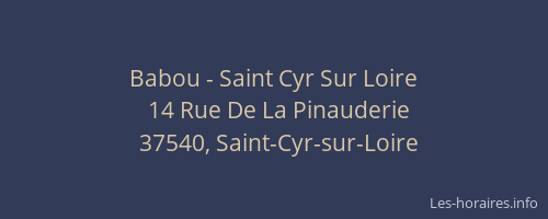 Babou - Saint Cyr Sur Loire