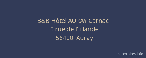 B&B H&ocirc;tel AURAY Carnac
