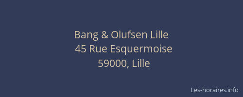 Bang & Olufsen Lille