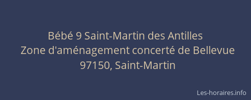 B&eacute;b&eacute; 9 Saint-Martin des Antilles
