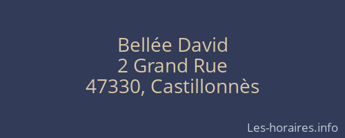 Bellée David