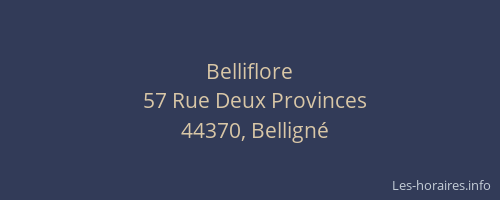 Belliflore