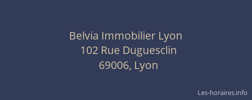 Belvia Immobilier Lyon