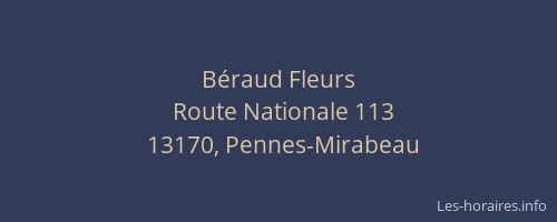 Béraud Fleurs