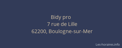 Bidy pro