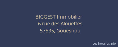 BIGGEST Immobilier