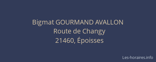 Bigmat GOURMAND AVALLON
