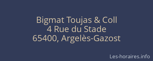 Bigmat Toujas & Coll