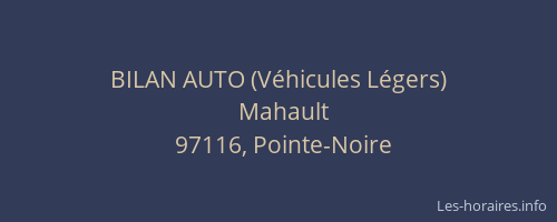 BILAN AUTO (V&eacute;hicules L&eacute;gers)