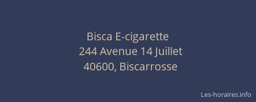 Bisca E-cigarette