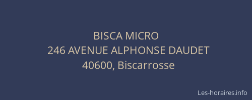 BISCA MICRO