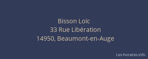 Bisson Lo&iuml;c