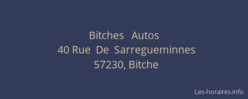 Bitches   Autos
