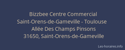 Bizzbee Centre Commercial Saint-Orens-de-Gameville - Toulouse