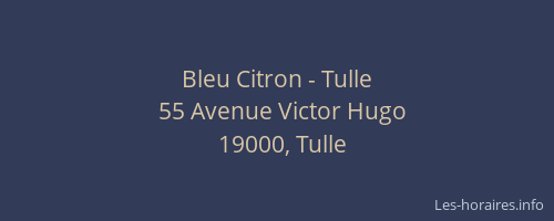 Bleu Citron - Tulle