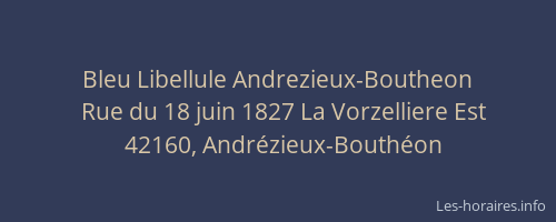 Bleu Libellule Andrezieux-Boutheon