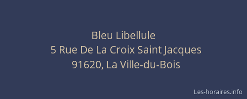 Bleu Libellule