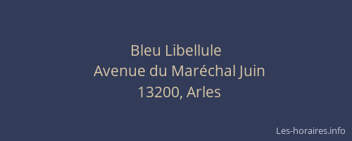 Bleu Libellule
