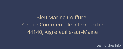 Bleu Marine Coiffure