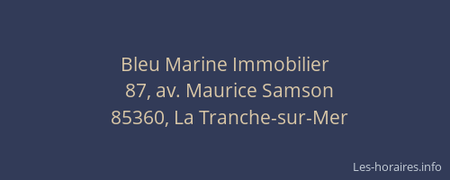 Bleu Marine Immobilier