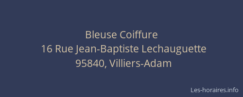Bleuse Coiffure