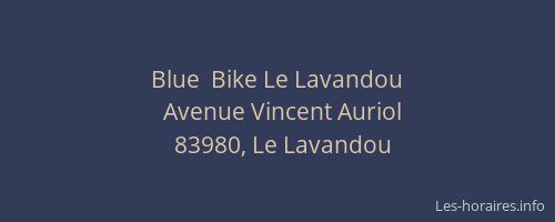 Blue  Bike Le Lavandou