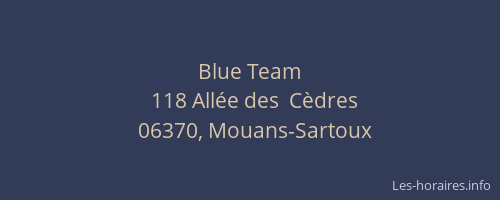Blue Team