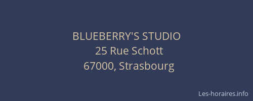 BLUEBERRY'S STUDIO