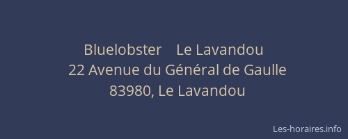 Bluelobster    Le Lavandou