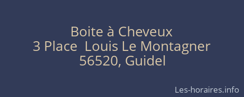 Boite à Cheveux