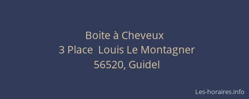 Boite &agrave; Cheveux