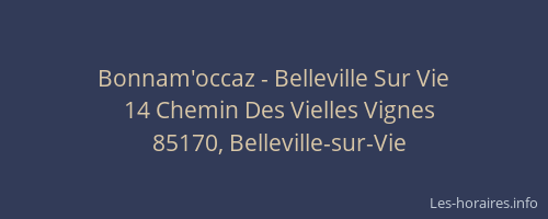 Bonnam'occaz - Belleville Sur Vie