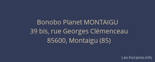 Bonobo Planet MONTAIGU