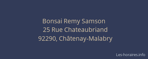 Bonsai Remy Samson