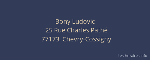 Bony Ludovic