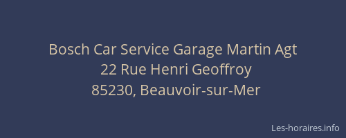 Bosch Car Service Garage Martin Agt