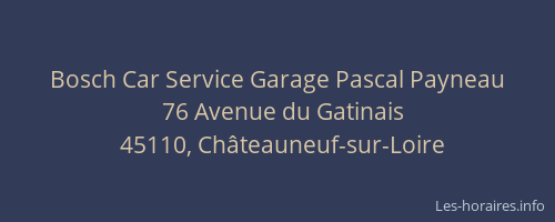 Bosch Car Service Garage Pascal Payneau
