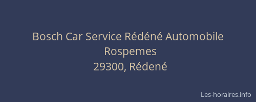 Bosch Car Service R&eacute;d&eacute;n&eacute; Automobile