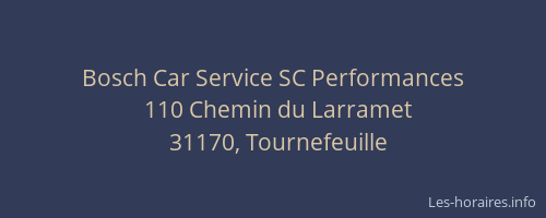 Bosch Car Service SC Performances